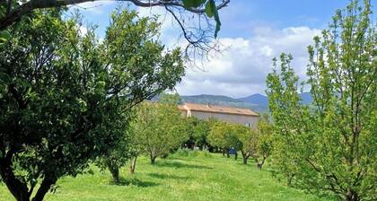  Charming detached cottage in the countryside - 7 km from the sea 