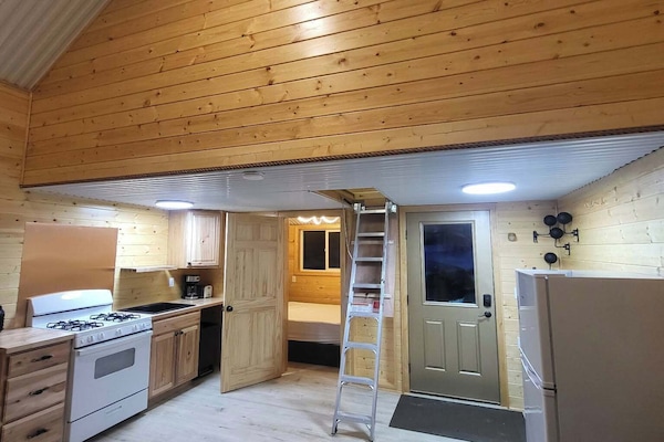 Back door you come in, Fridge, Artic Ladder to loft, Master bedroom, and Kitchen