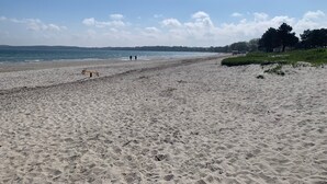 Een strand met zand, enkele mensen en een hond.