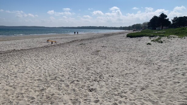 En strand med sand, nogle få mennesker og en hund.
