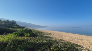 Uma praia com areia, água e vegetação.