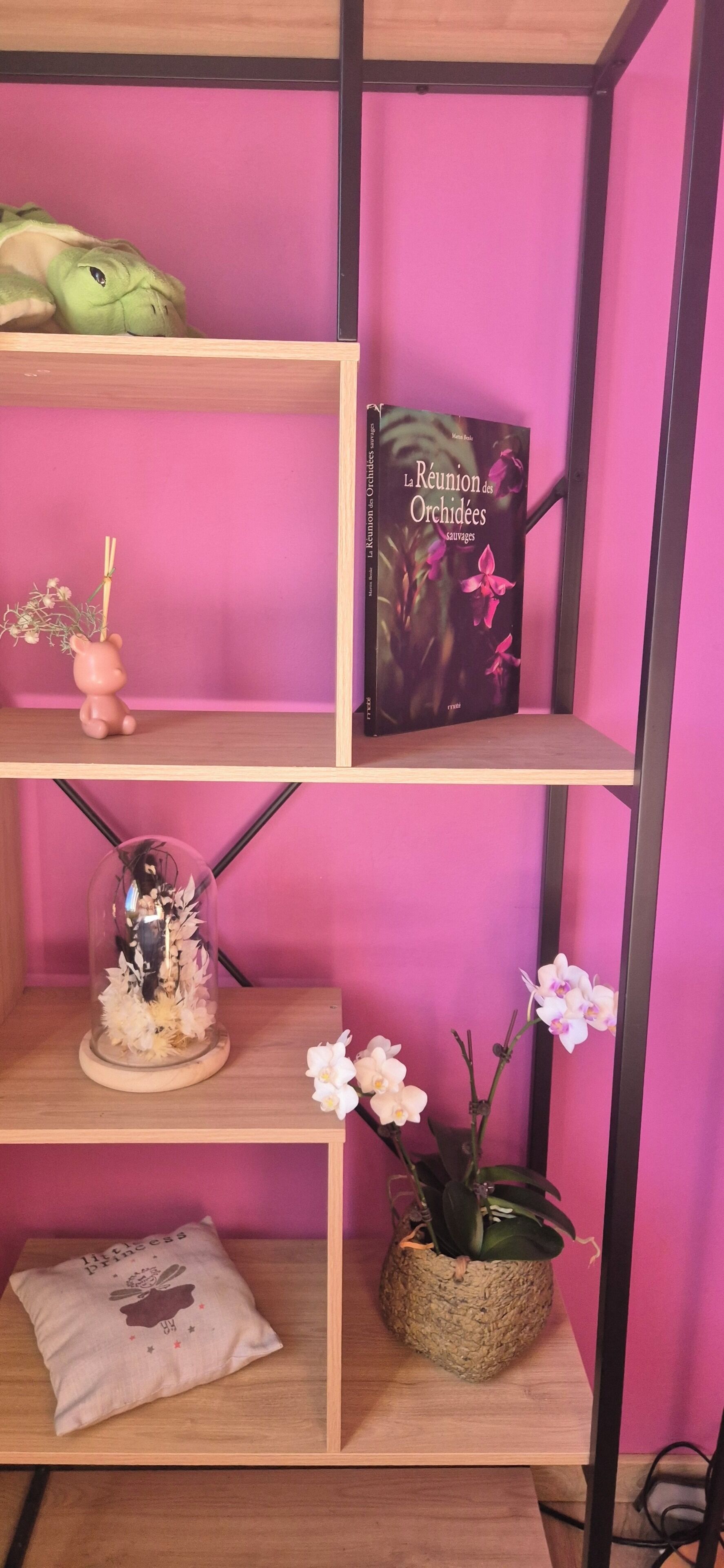 A shelf with a green plush toy, a book titled 'La Réunion des Orchidées,' a decorative glass dome with flowers, a cushion with a princess design, and a woven basket with a plant.