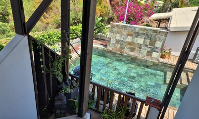 Thalie's Eden
