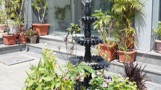 Fachada de edificio con puerta de cristal, plantas en macetas y una fuente.
