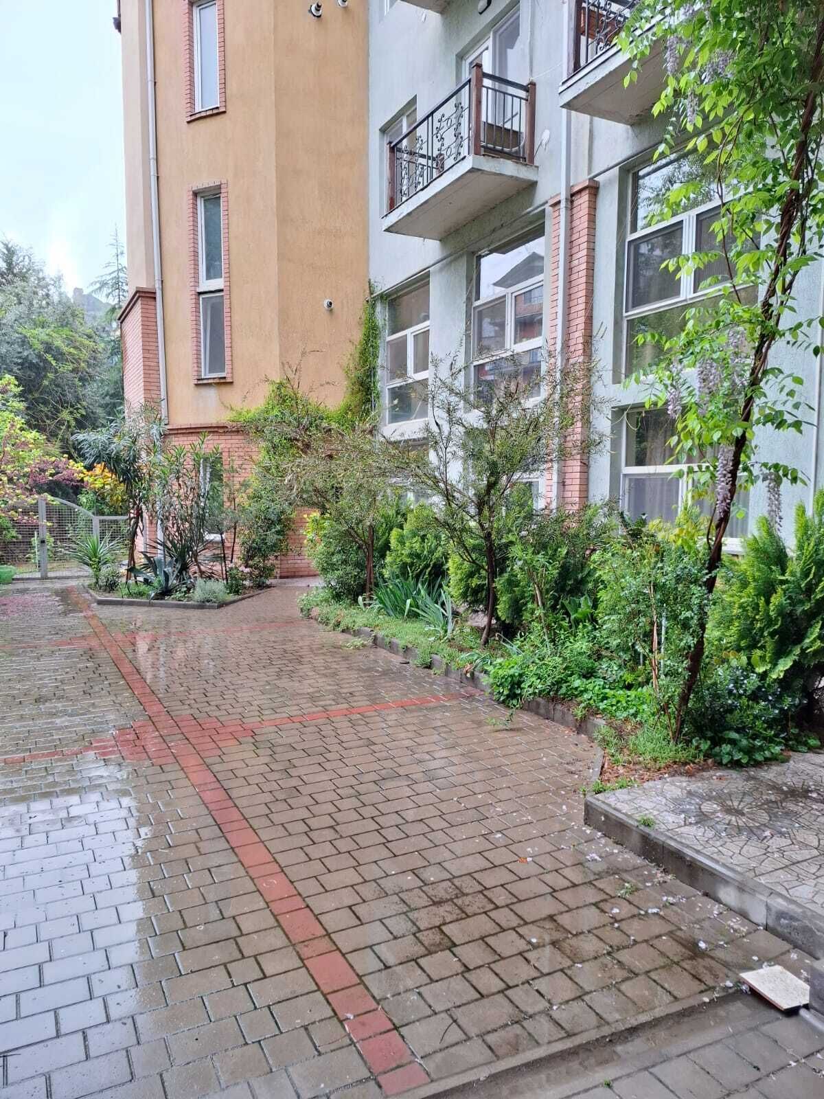 Vista desde la habitación