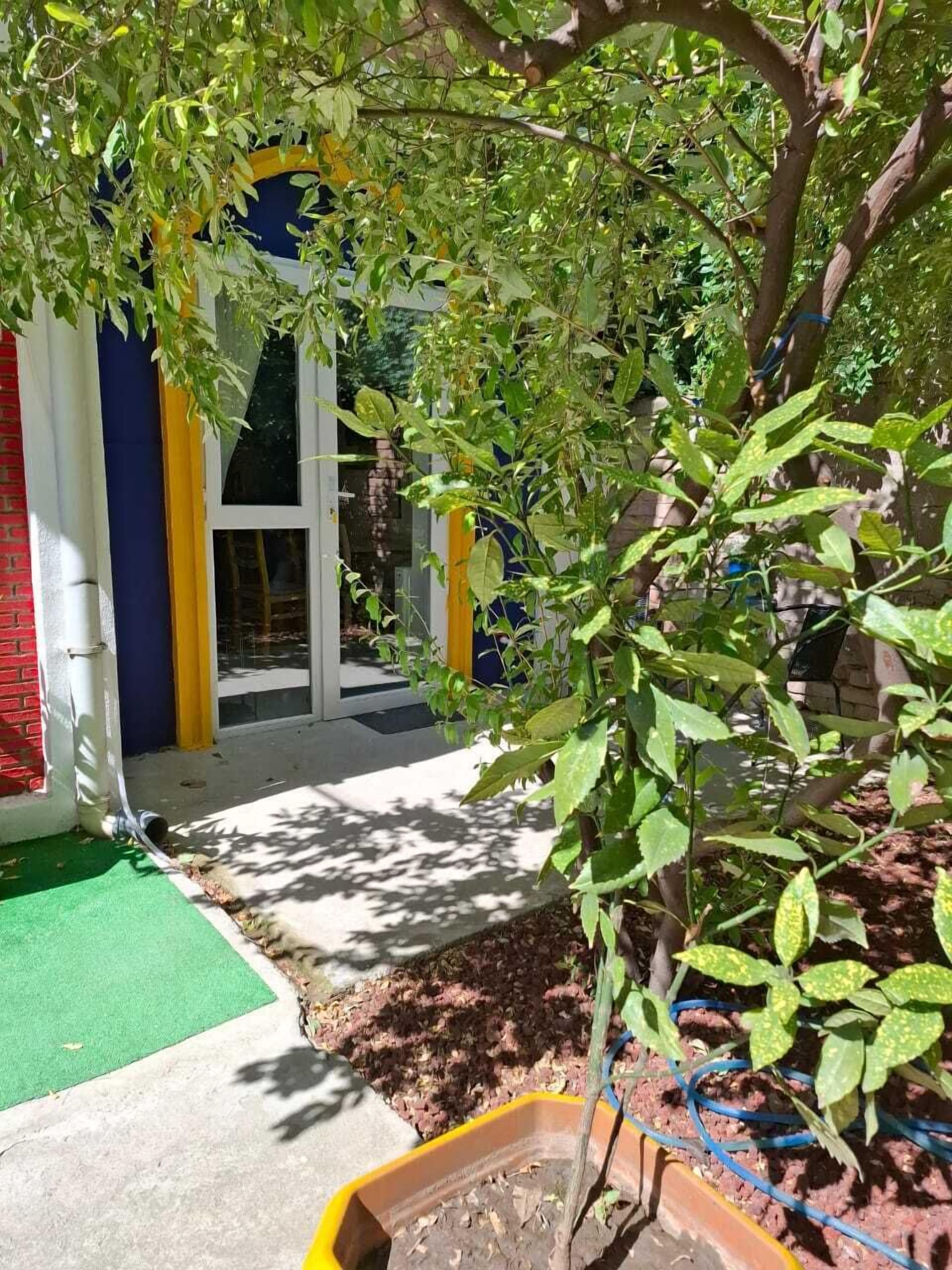 A garden area with a tree, a play structure, and a building with colorful walls.