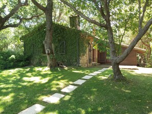 Property grounds - House in the Woods: Stone Rustic with Whirlpool. Tuscany (Castagneto Carducci)