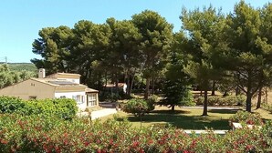 Ein Haus mit Solardach, umgeben von einem Garten mit verschiedenen Bäumen und Sträuchern.