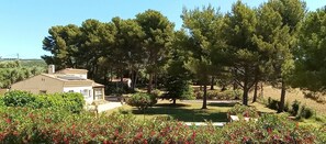 A house with a solar panel roof, surrounded by a garden with various trees and shrubs.