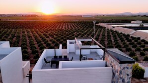 Una terrazza sul tetto con vista su un vigneto, architettura moderna e un tramonto.