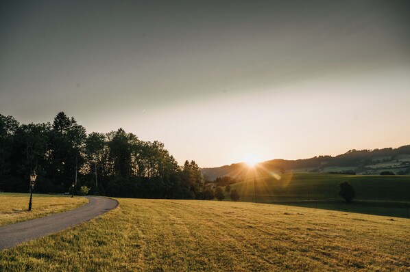 A rural landscape with a winding road, trees, and a sunset.
