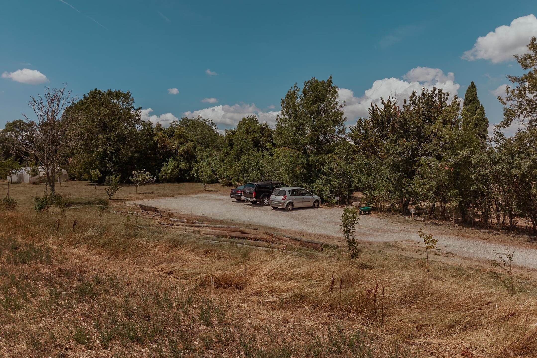 A parking area with cars, surrounded by trees and dry grass.