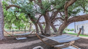 Dues nassos sota arbres grans a un parc.