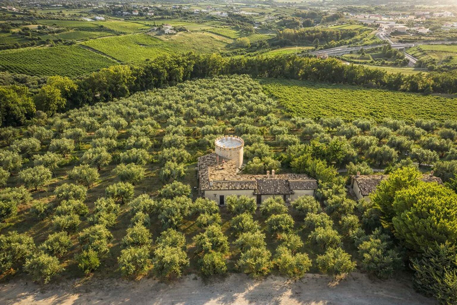 An olive grove with a circular tower and a rectangular building, surrounded by lush greenery.