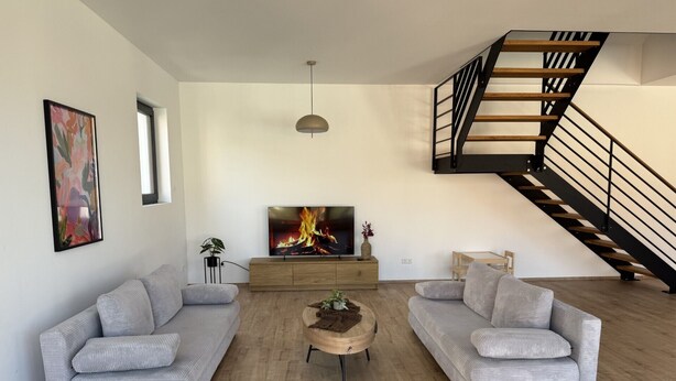 Ein modernes Wohnzimmer mit zwei grauen Sofas, einem Holztisch, einem Fernseher auf einem Holzständer, einer Treppe mit schwarzer Geländer und einer Pflanze.
