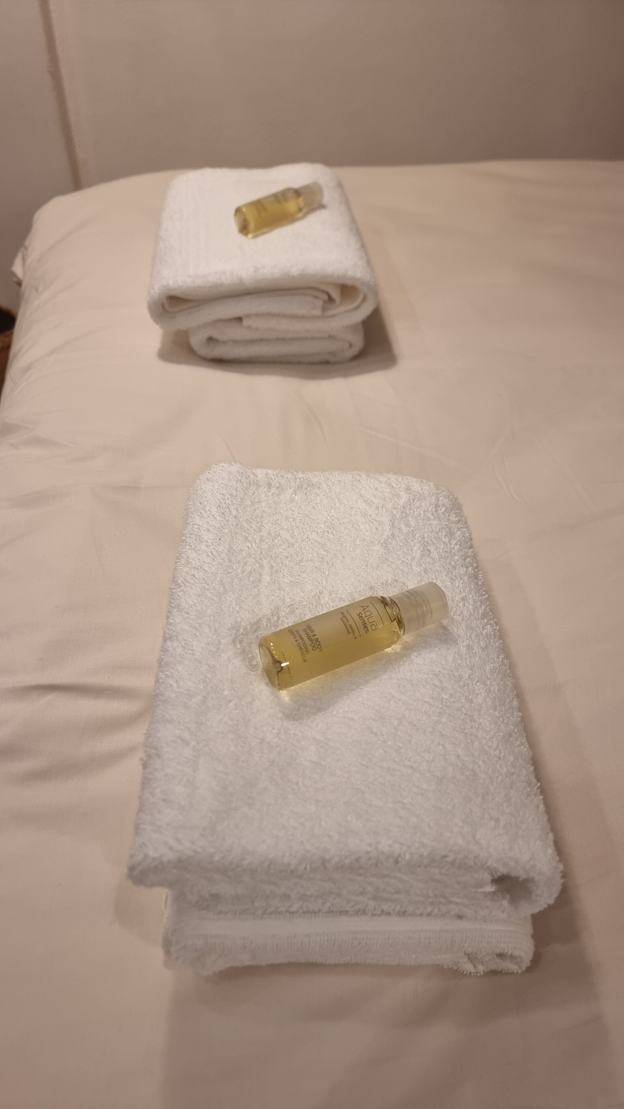 Badrumsbekvämligheter