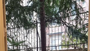 A view through a doorway into a courtyard with a tree, a brick wall, and a concrete floor.