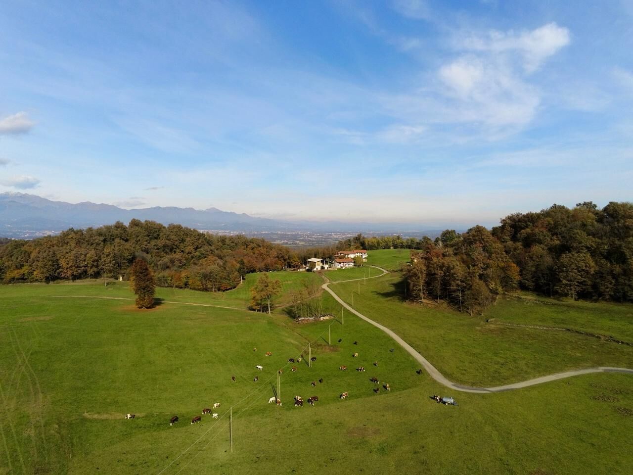 Eine ländliche Landschaft mit einem Bauernhof, grünen Feldern und blauem Himmel.