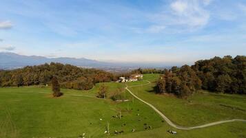 Eine ländliche Landschaft mit einem Bauernhof, grünen Feldern und blauem Himmel.