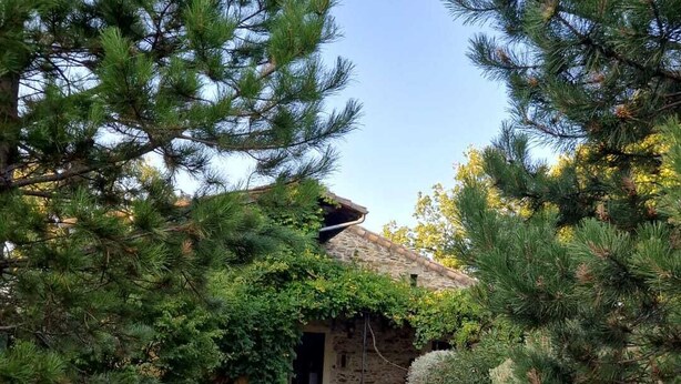 Un edificio in pietra con un vialetto sterrato che vi conduce, circondato da pini.