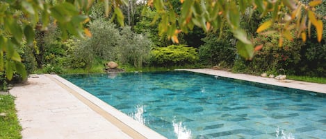 A clear swimming pool surrounded by lush greenery and a stone pathway.