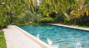 Una piscina cristalina rodeada de exuberante vegetación y un sendero de piedra.