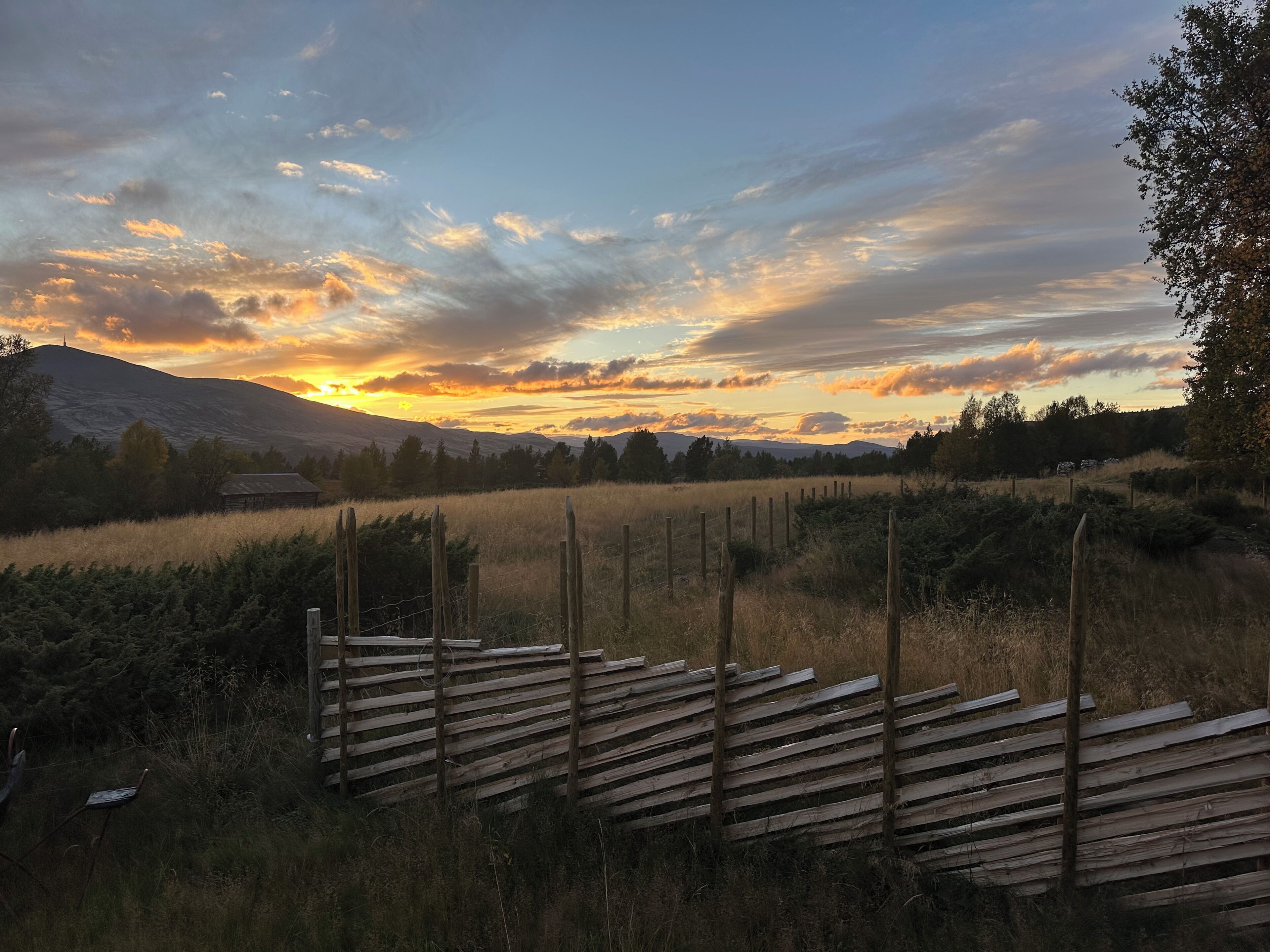 Un paysage rural avec une clôture en bois, un champ et une montagne en arrière-plan.