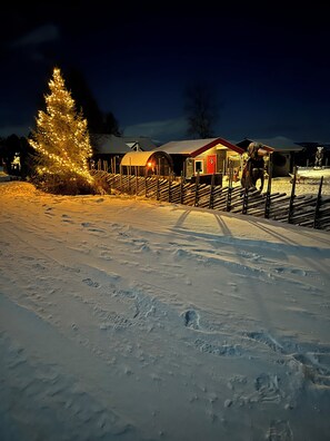 Property grounds - Trollvang (Dovreskogen)