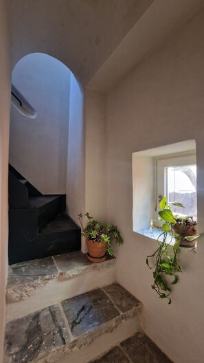 A staircase with a potted plant on the landing, a window with a view, and a door with a doorknob. - Casa Lureca (Syracuse)