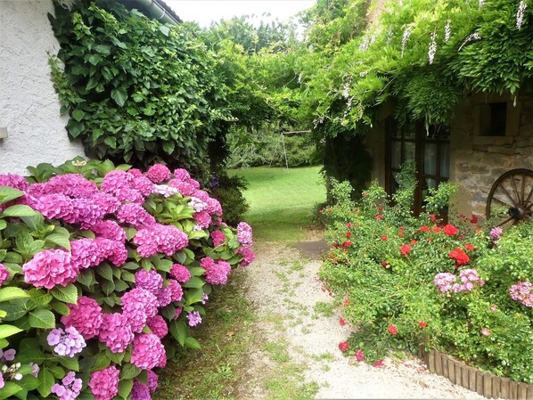 Área da propriedade