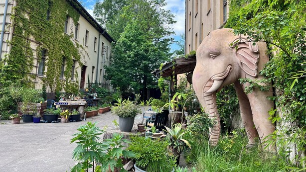 A courtyard with a large elephant sculpture, potted plants, and a building with ivy-covered walls. - Morgenland - vacation apartment for those who want more than just a place to stay (Fürstenberg/Havel)