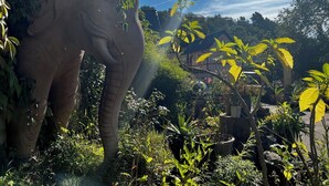 A large elephant statue surrounded by lush greenery and a house in the background. - Morgenland - vacation apartment for those who want more than just a place to stay (Fürstenberg/Havel)