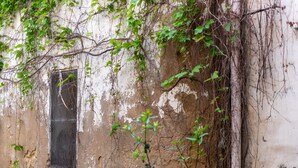 A weathered building facade with peeling paint and a window with a metal screen. - Apartment 'U Curtigliu -' with Shared Terrace, Wi-Fi and Air Conditioning (Realmonte)