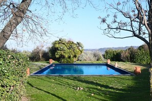 A rectangular swimming pool surrounded by well-maintained grass, trees, and shrubs.