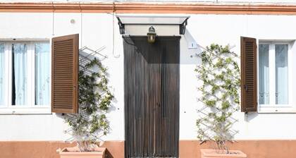 SE224 - Senigallia, spacious and bright apartment with garden
