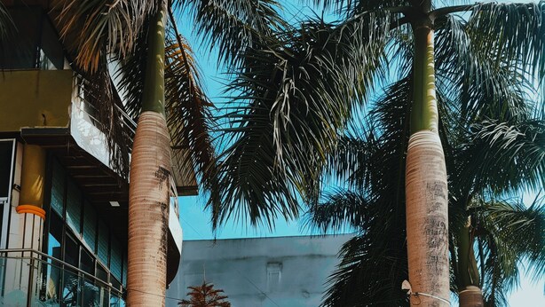 Un área de piscina con suelo de baldosas, palmeras y un edificio con ventanas de vidrio y pared de azulejos.