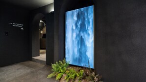 Un corridoio con un grande murale, una segnaletica per la reception self-lounge e un'esposizione di piante.