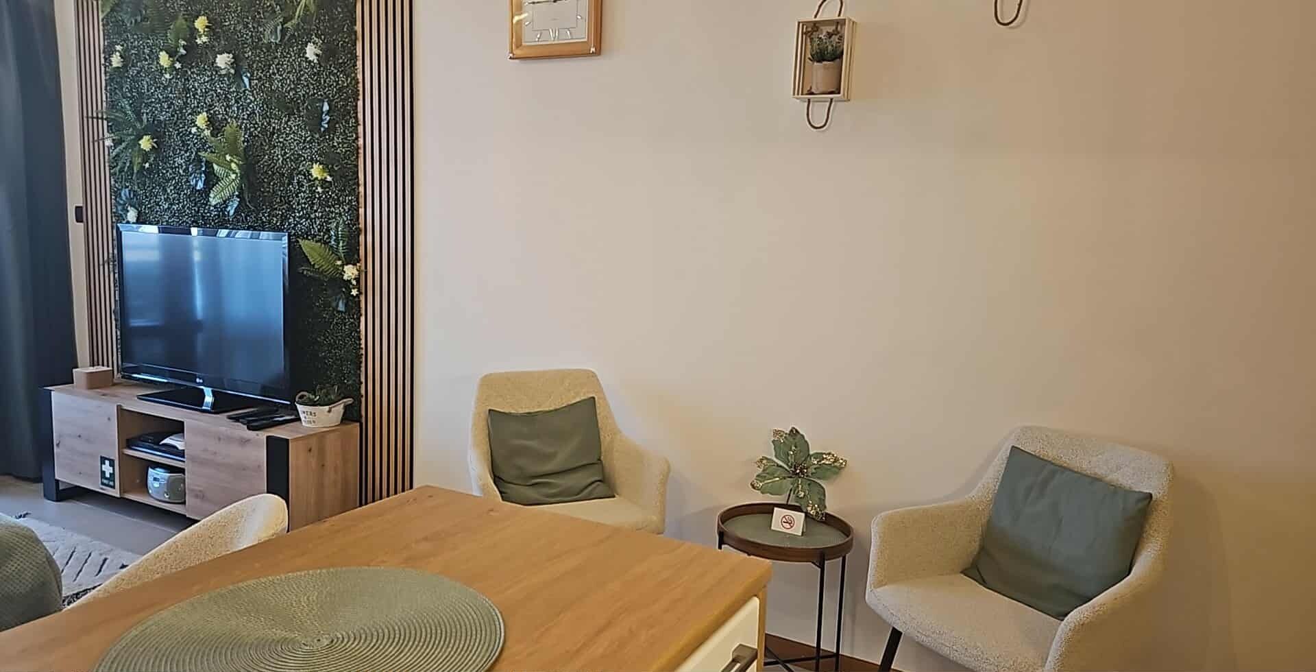 A living room with a TV, two chairs, a small table, and a decorative plant.