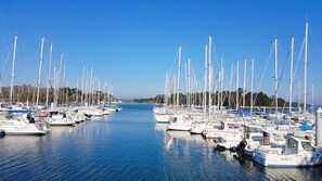 Un port de plaisance où sont amarrés de nombreux voiliers, avec une eau calme et un ciel dégagé.