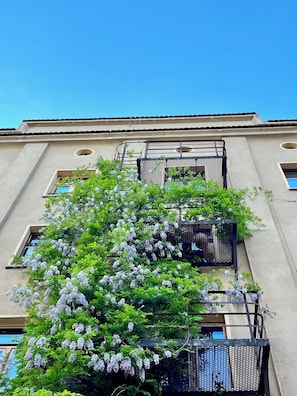 A building with a fire escape, a window, and a tree with white flowers.