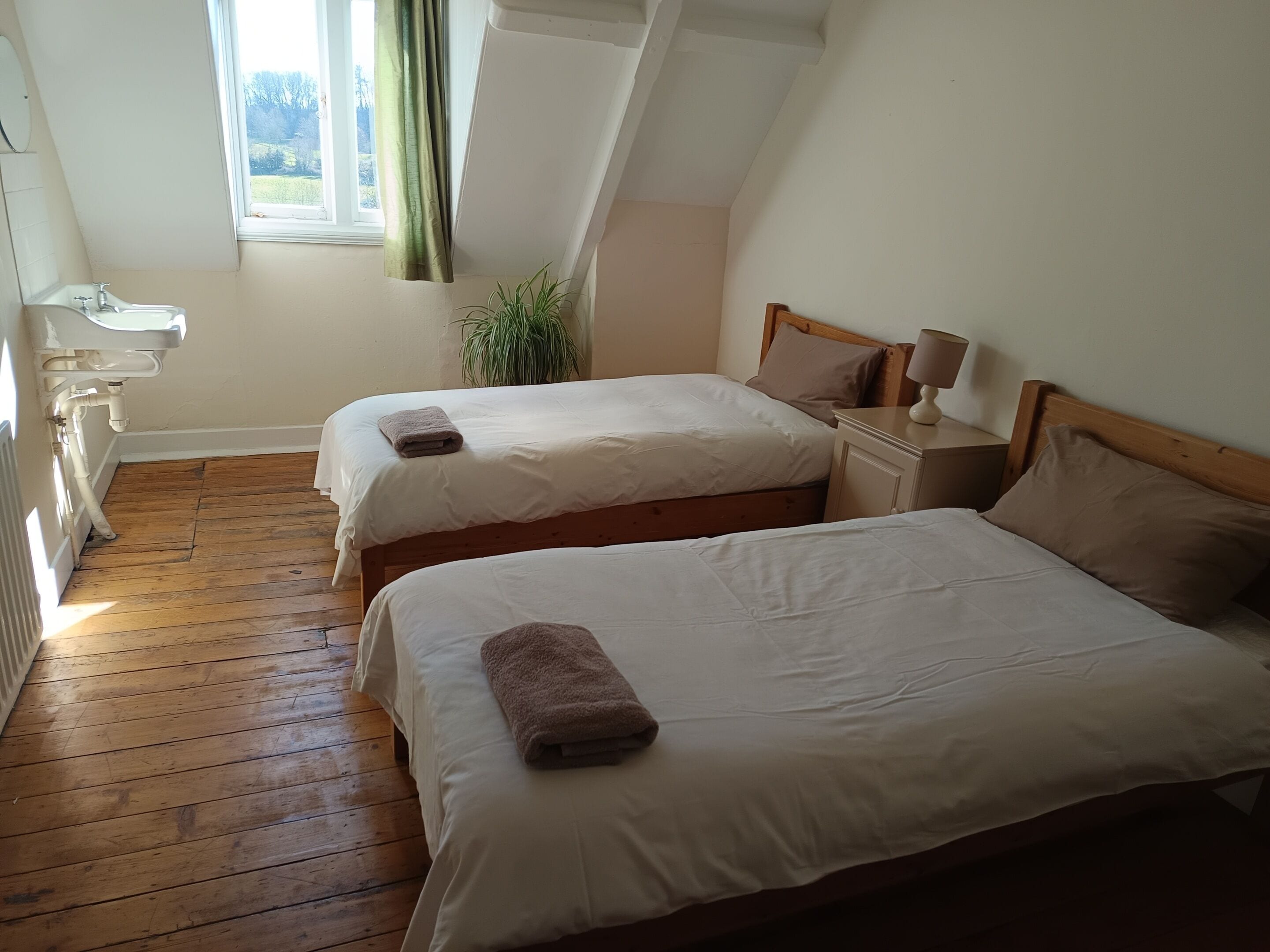 A bedroom with two beds, a window, a plant, and a nightstand.