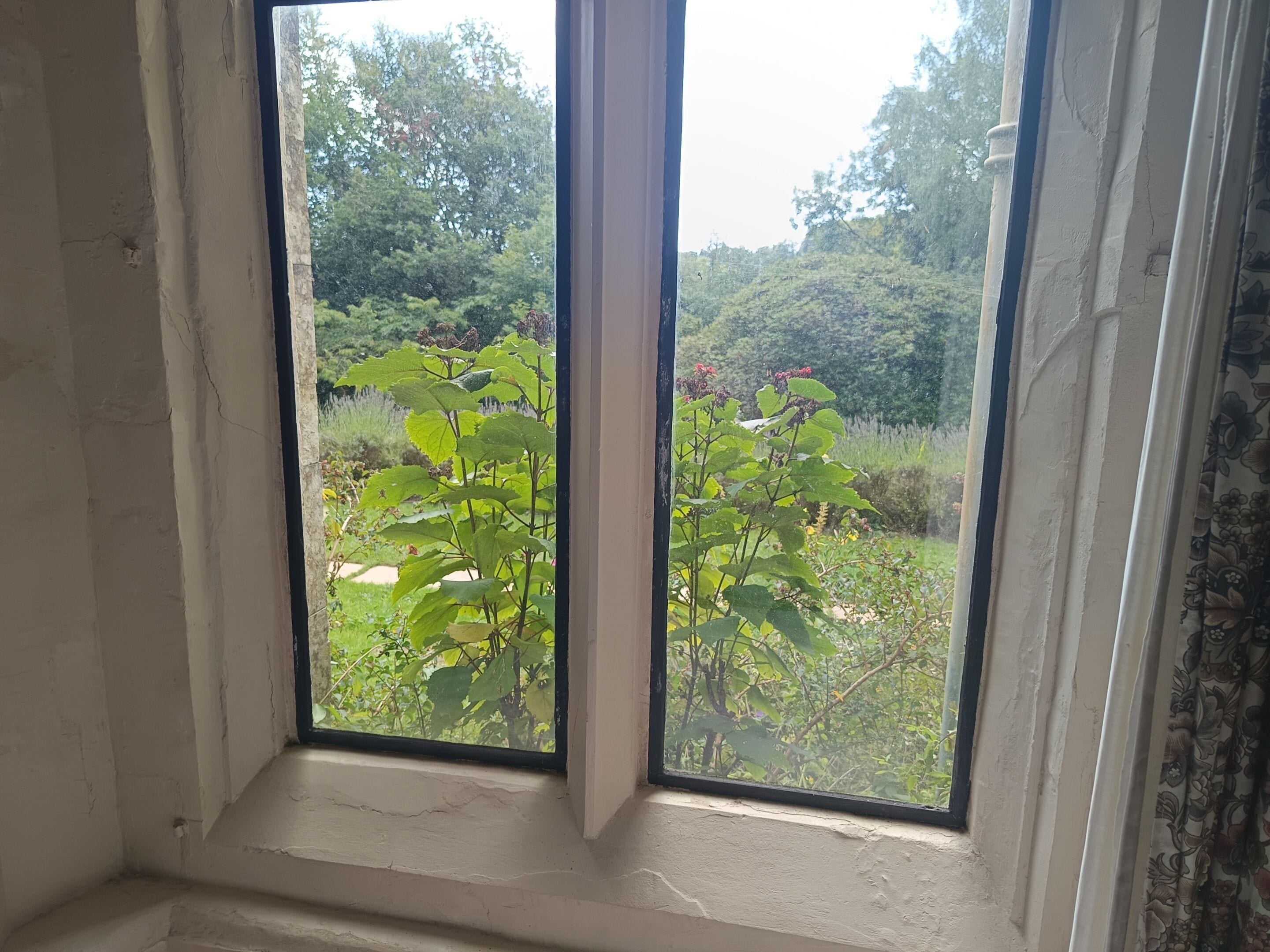 Standard Quadruple Room, Shared Bathroom