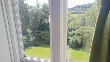 A window with a view of a green landscape, including trees and a grassy area.