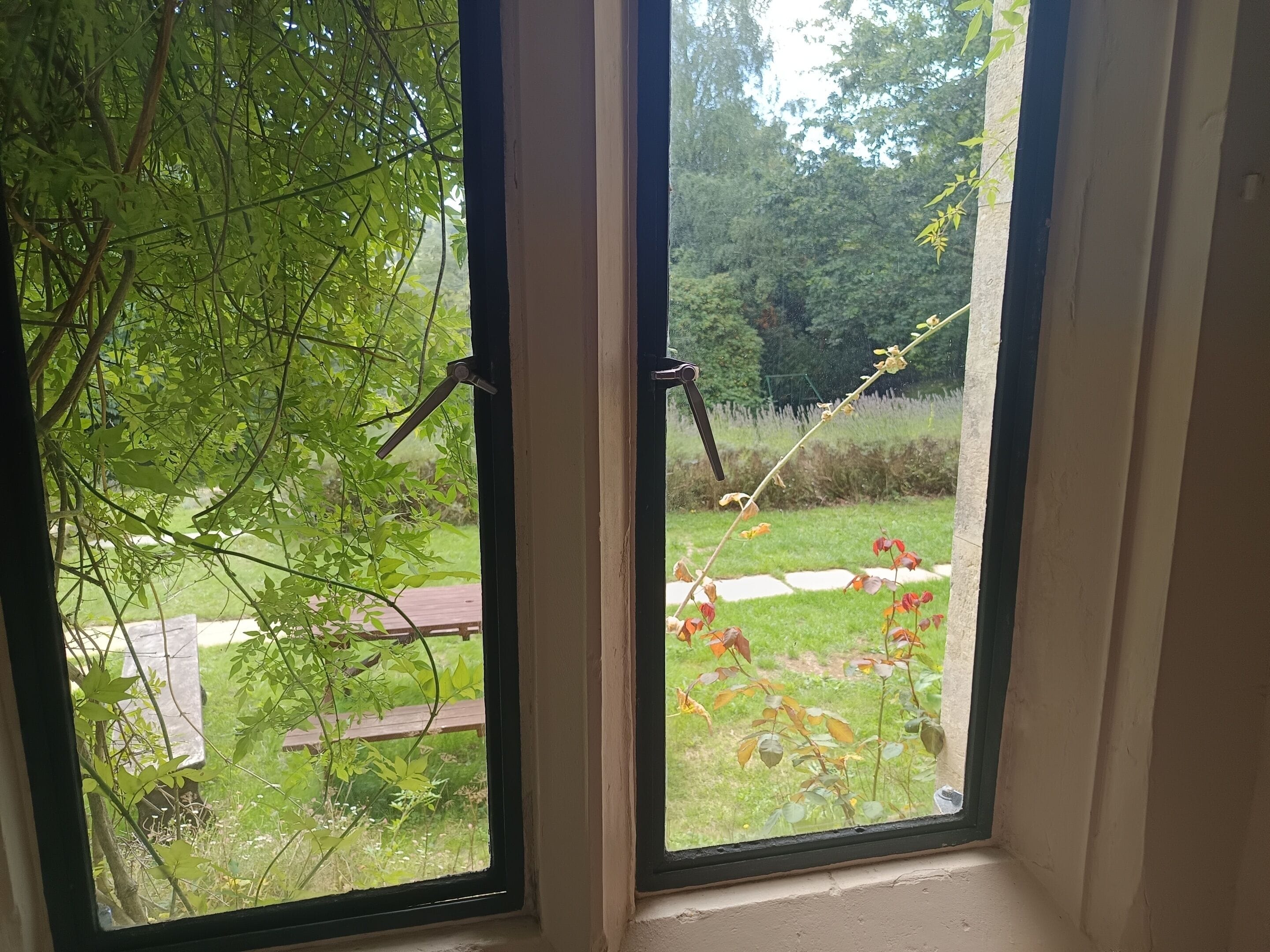 A window with a view of a garden, a wooden bench, and a pathway.