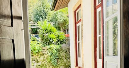 The wander house braga