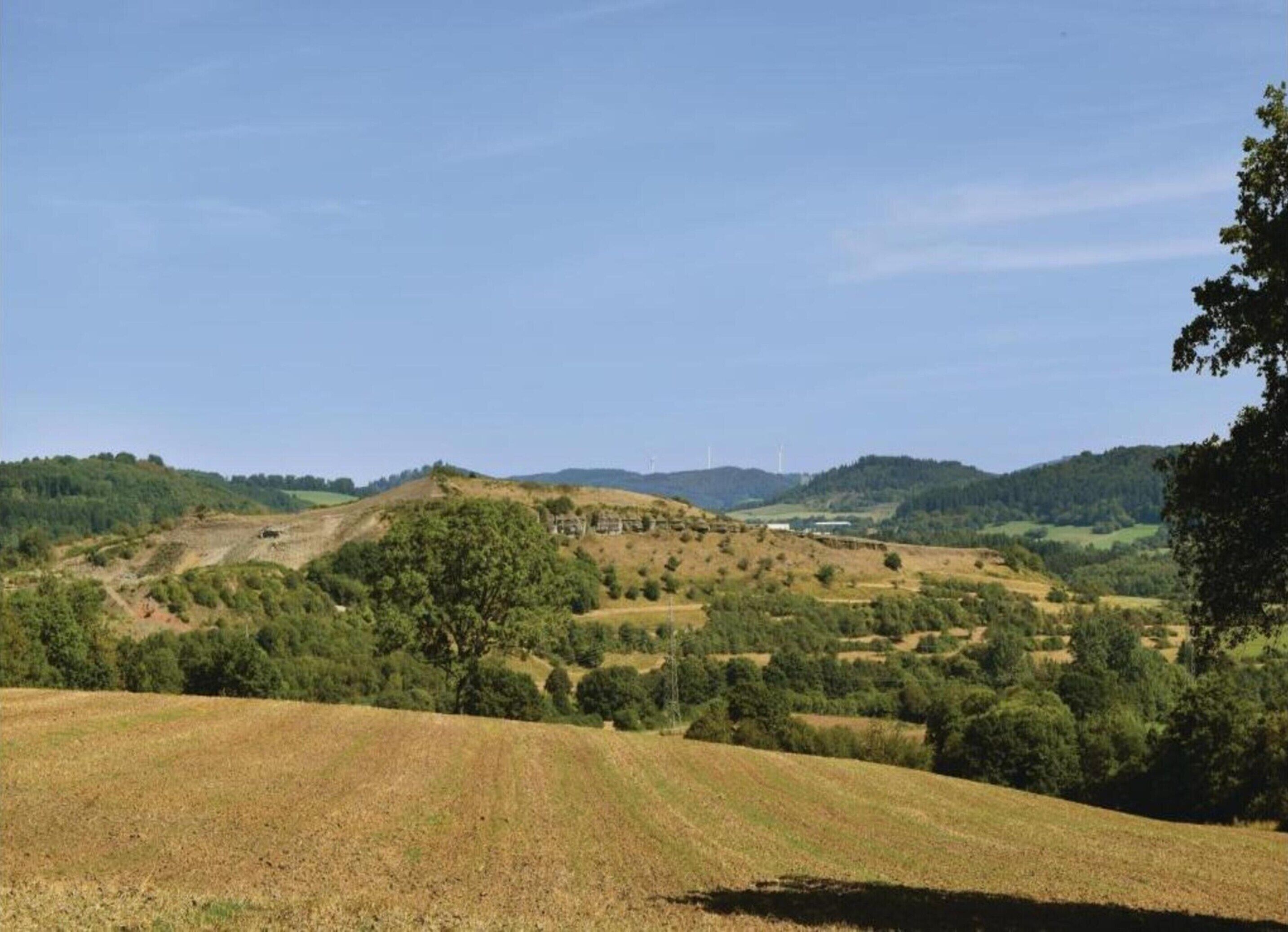 A rural landscape with rolling hills, a clear sky, and scattered trees.