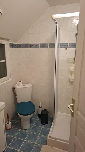 Regadera, secadora de cabello, toallas, papel de baño 