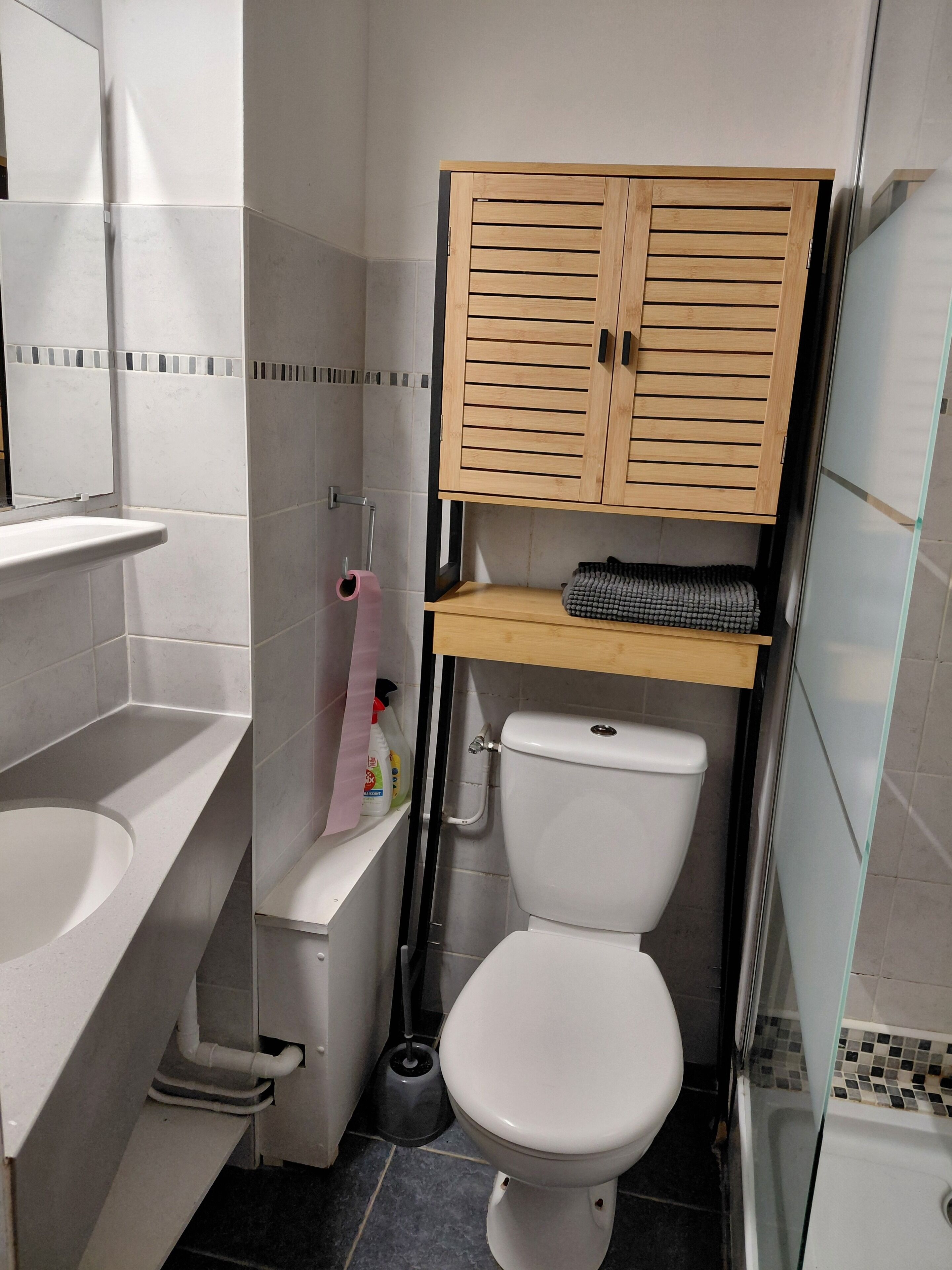 Dusche, Haartrockner, Seife, Toilettenpapier