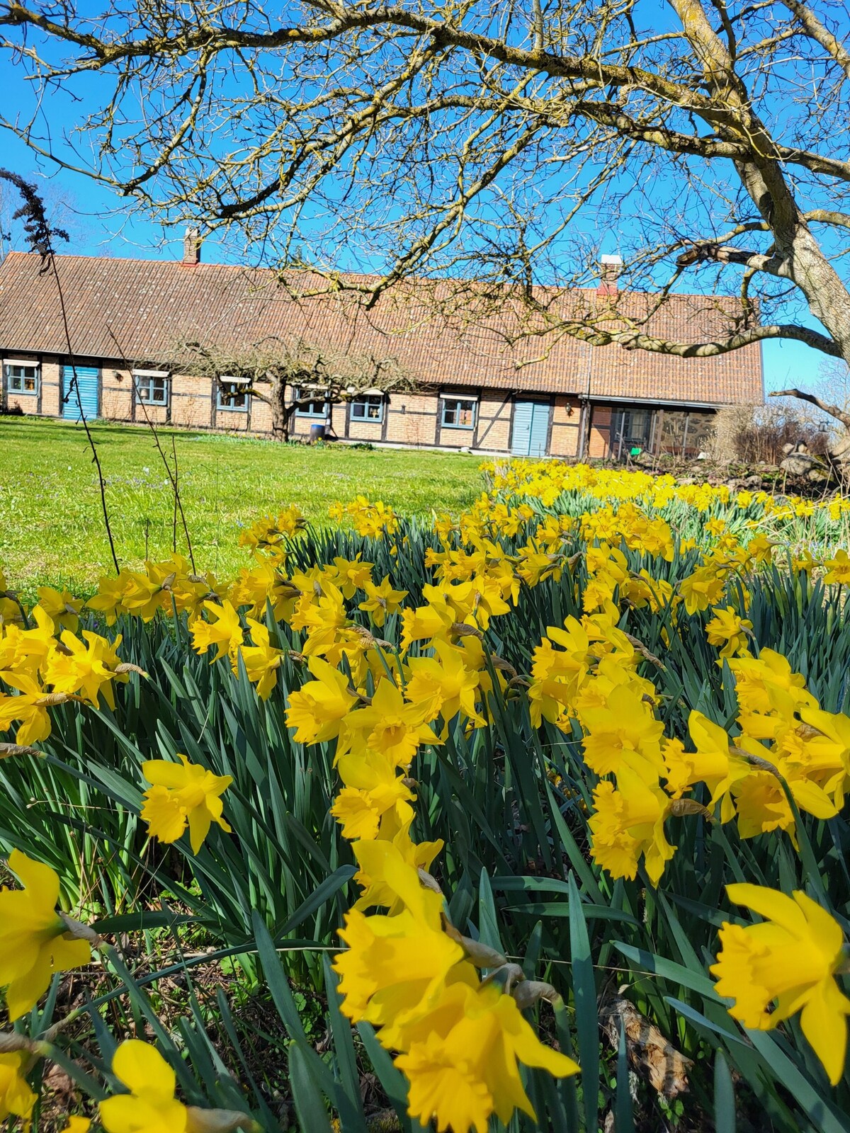 オーナーのプロフィール画像