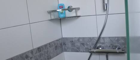 Regadera, secadora de cabello, bidet, toallas